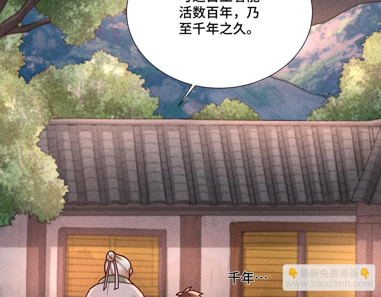 033 白鹿01