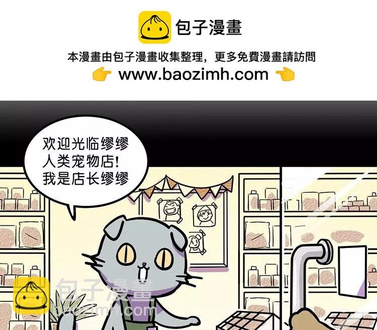 11 第11话 人类宠物店