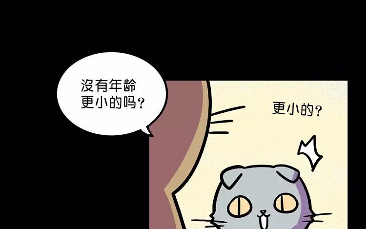 11 第11话 人类宠物店