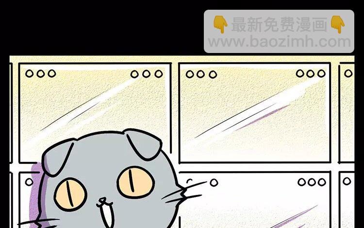 11 第11话 人类宠物店