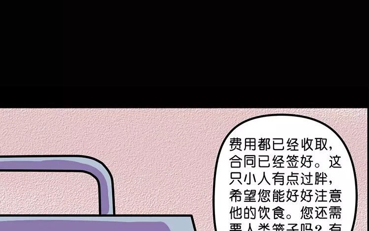 11 第11话 人类宠物店