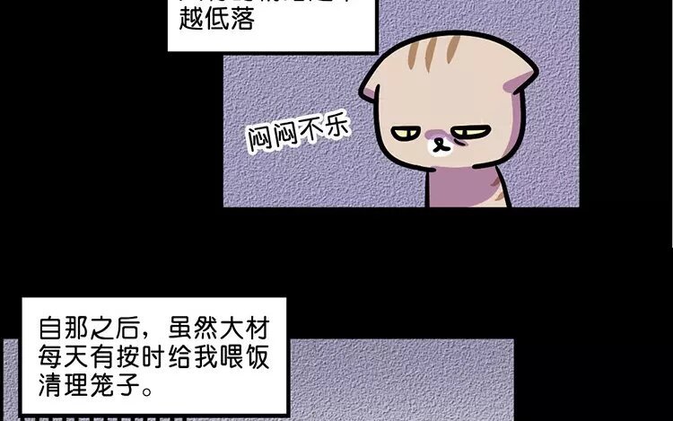 10 第10话 抑郁猫与小人