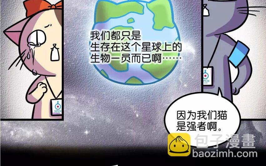 9 第9话 是生，是死，由猫来定！