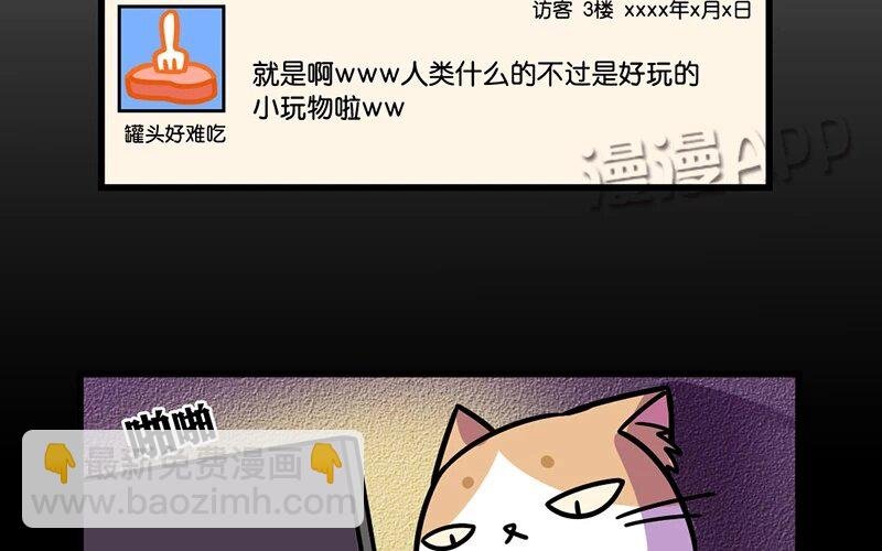 8 第8话 猫的歧视