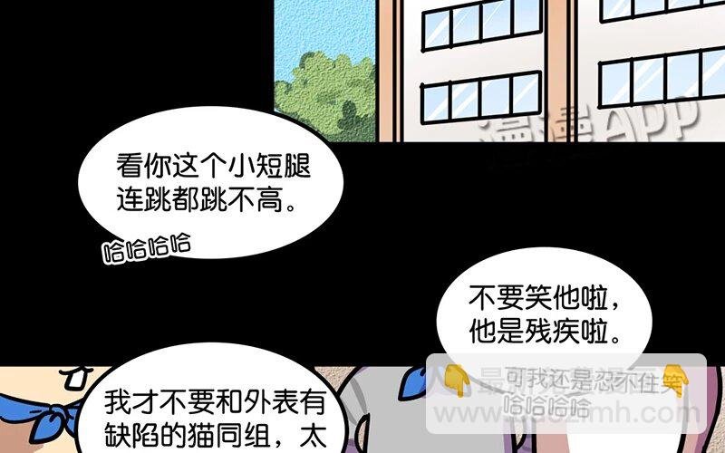 8 第8话 猫的歧视