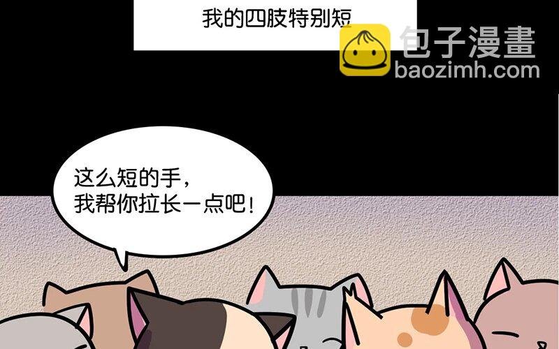 8 第8话 猫的歧视
