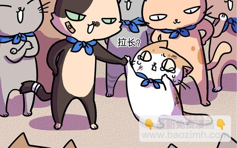 8 第8话 猫的歧视