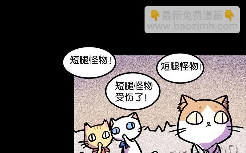 8 第8话 猫的歧视