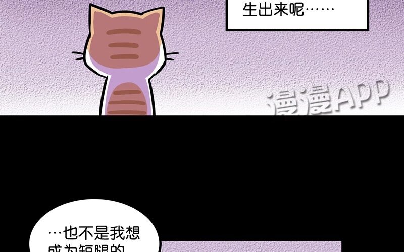 8 第8话 猫的歧视