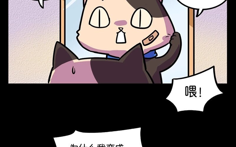 8 第8话 猫的歧视