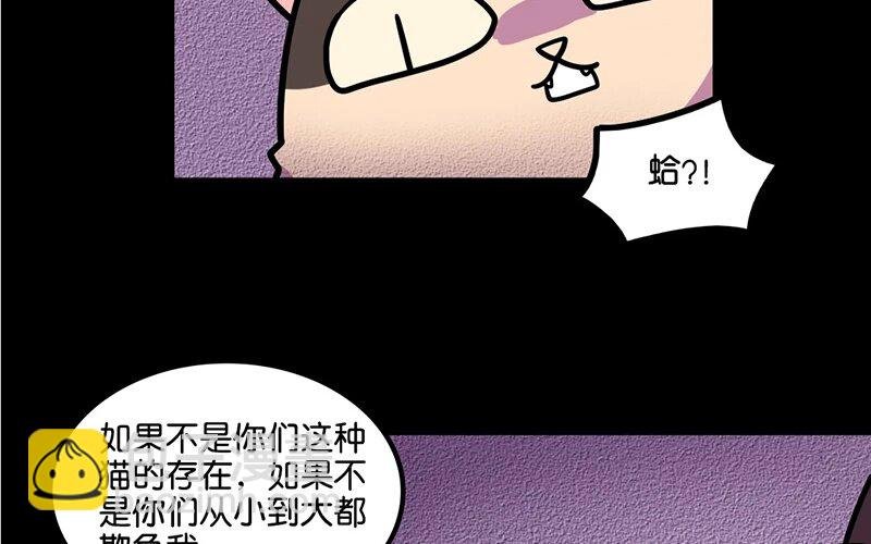 8 第8话 猫的歧视