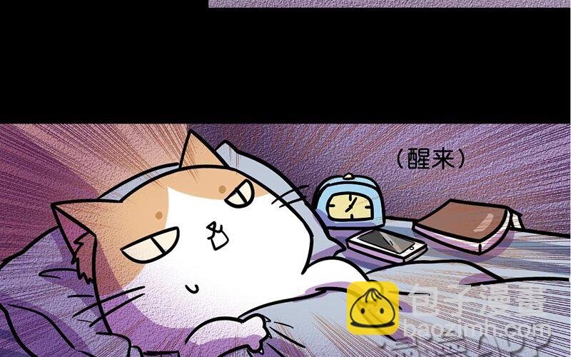 8 第8话 猫的歧视