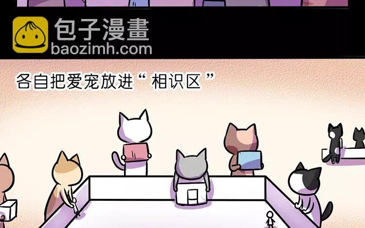 3 第3话 情啊爱啊