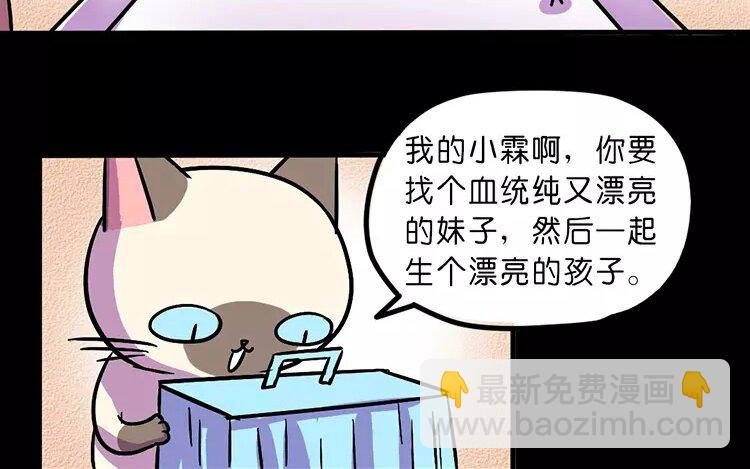3 第3话 情啊爱啊