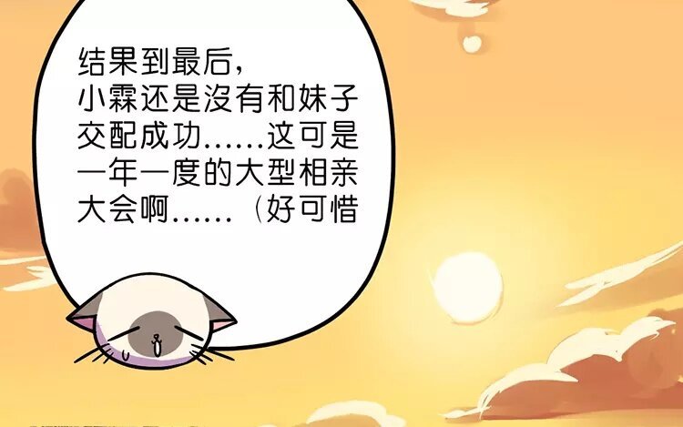 3 第3话 情啊爱啊