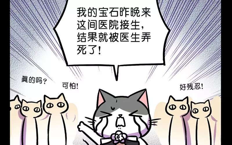 20 第20话 医闹（2）