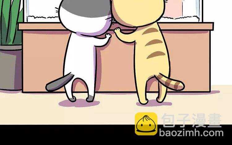 2 第2话 生育机器