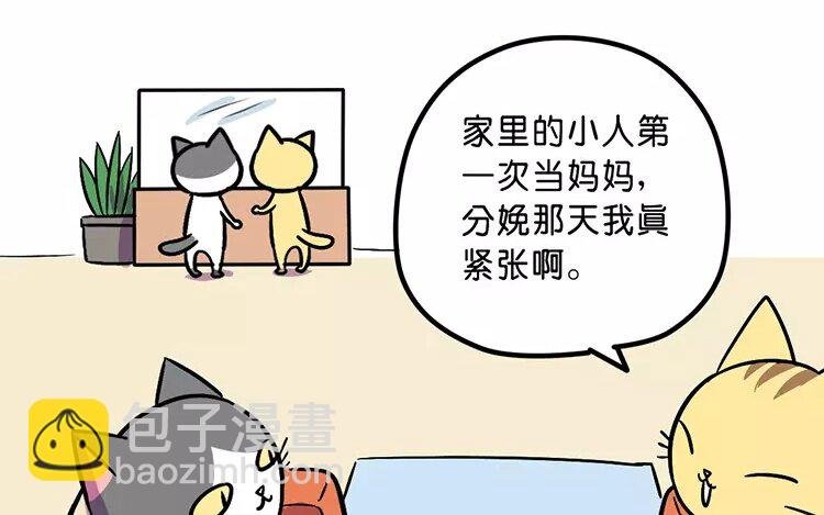 2 第2话 生育机器
