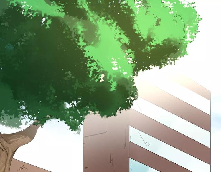 第11话 阳光