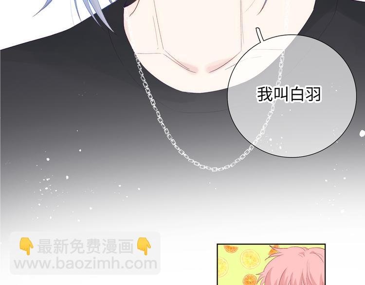 第13话 双胞胎的魅力