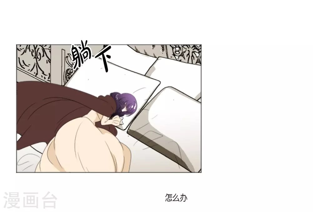 第15话 拉迪维特的公主