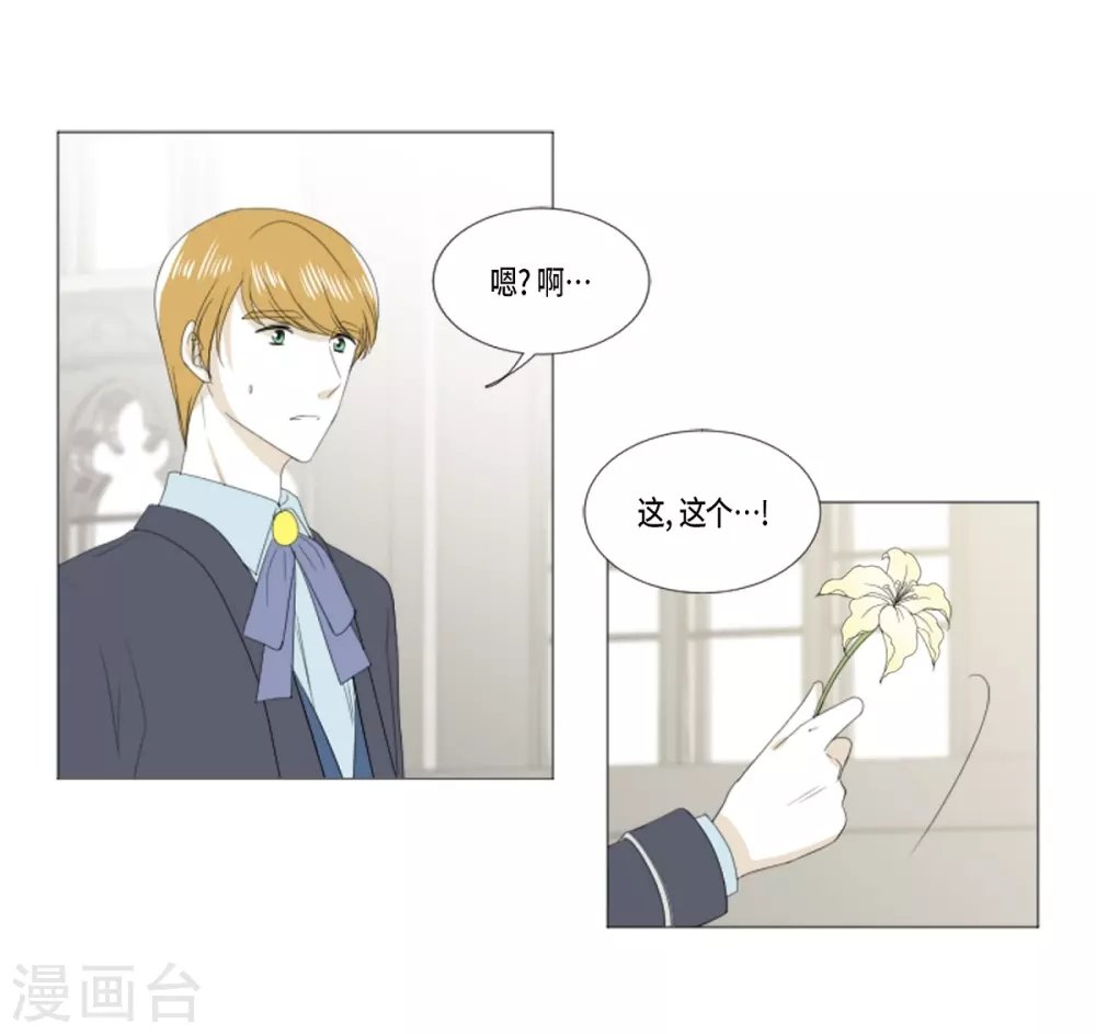 第22话 应该是错觉吧