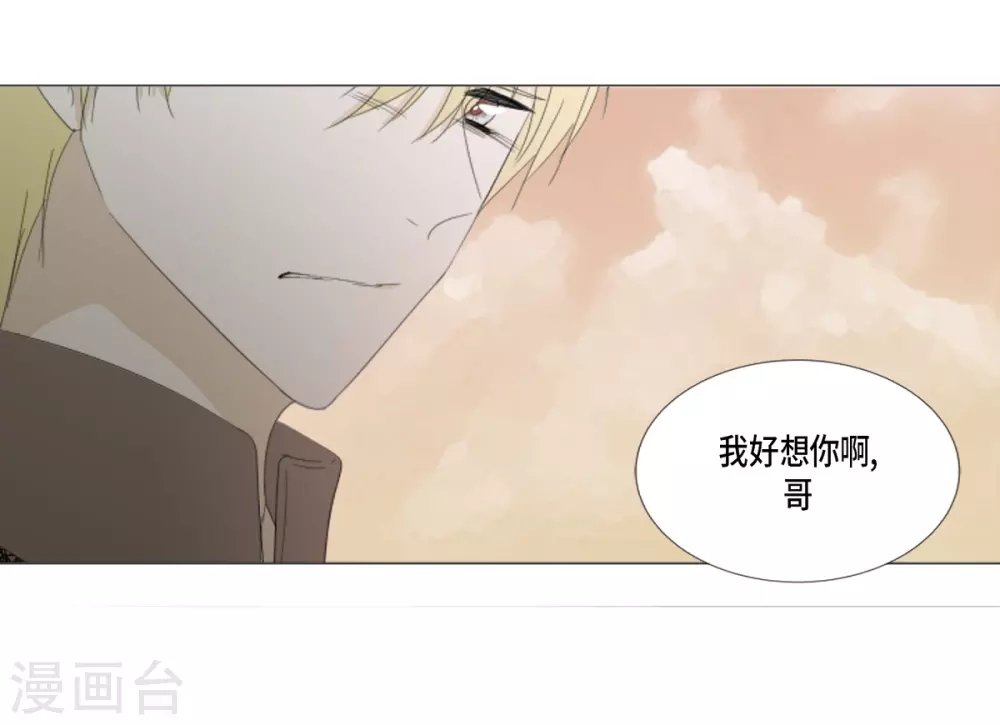 最终话 如果我们没有相遇