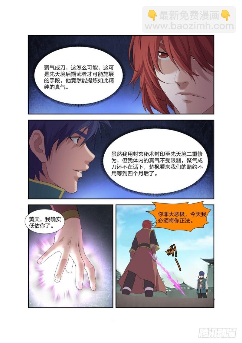 196 战楚枫