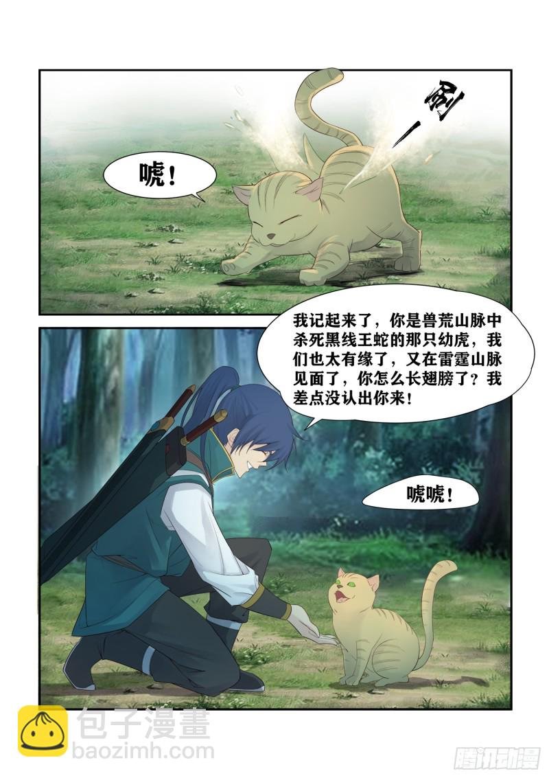 224 再遇小虎