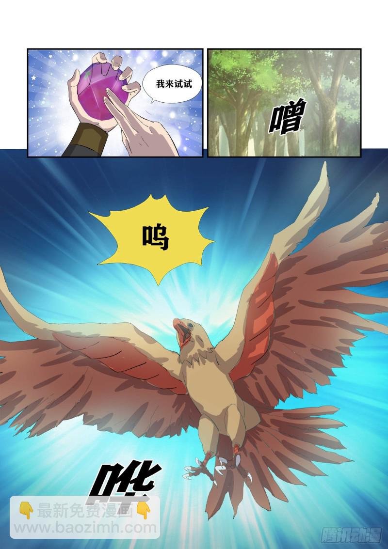 305 叫它小金吧