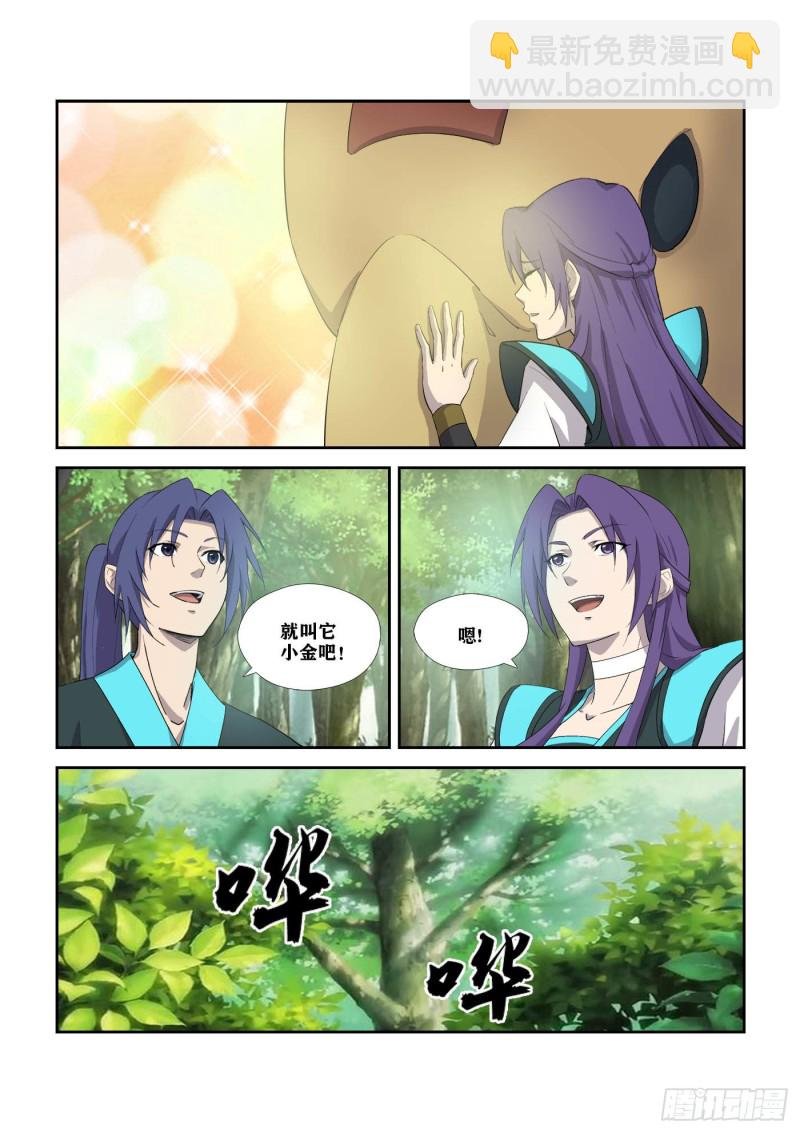 305 叫它小金吧