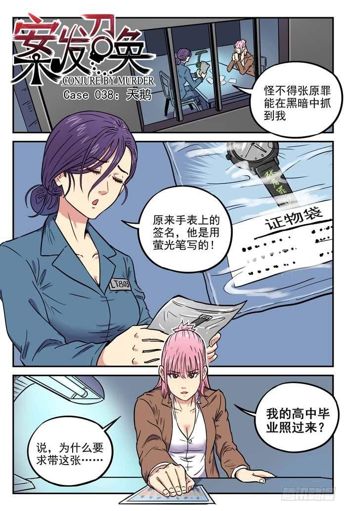 Case 038：天鹅