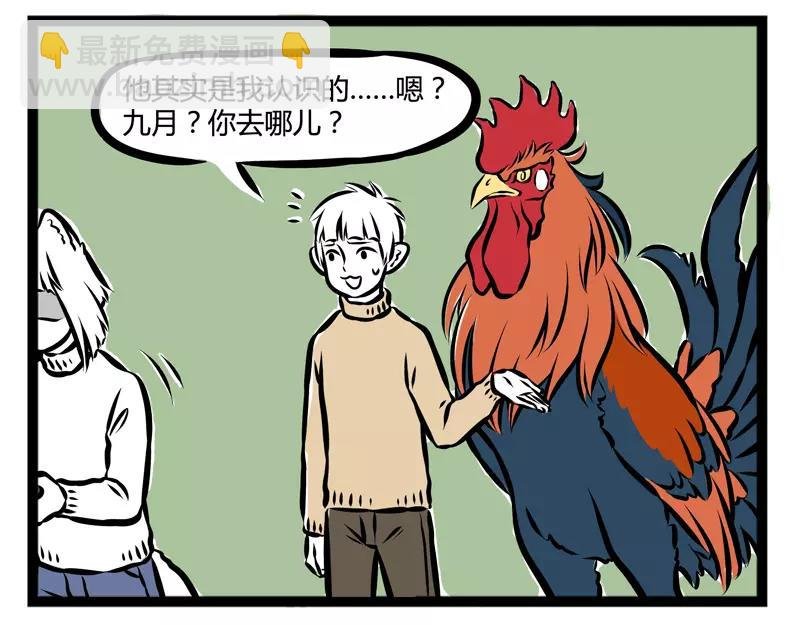 第107话 煮鸡
