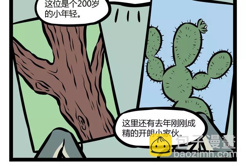 第123话 朱雀