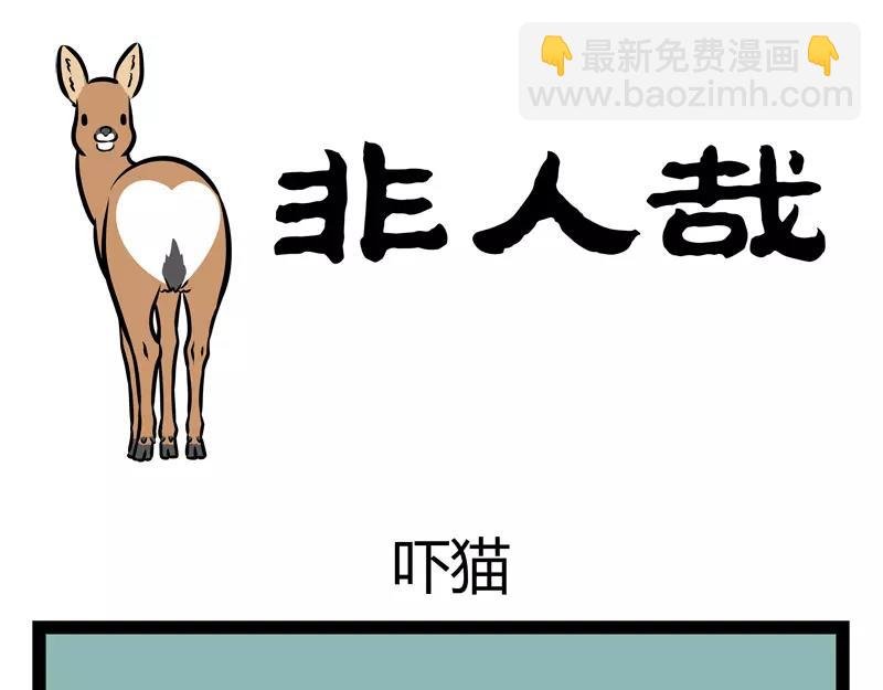 第137话 吓猫