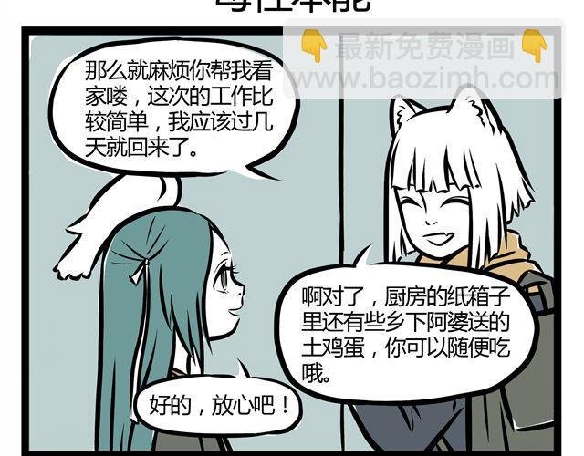 第14话 观世音玩旋转木马？！