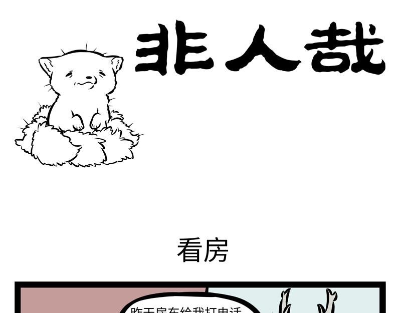 第143话 看房