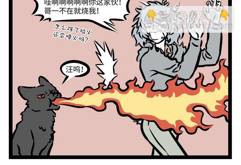 第161话 新欢