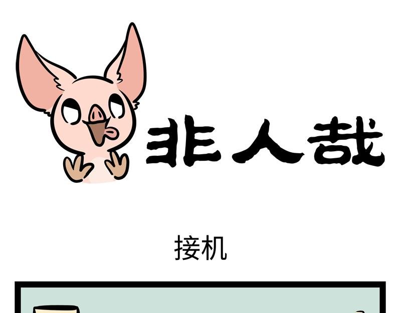 第164话 精致的猪猪精