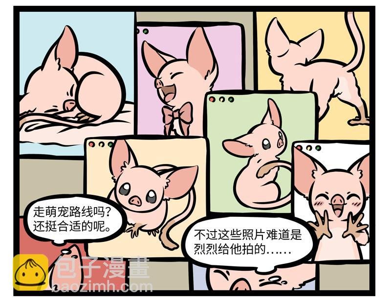 第164话 精致的猪猪精