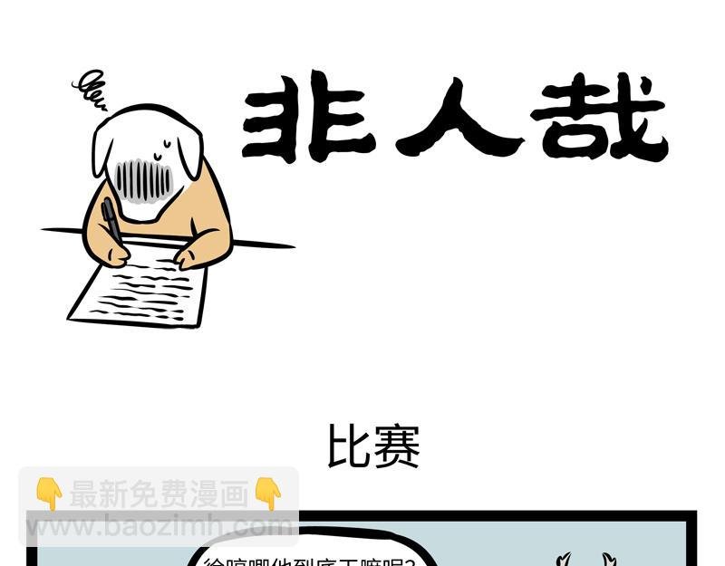 第169话 猪年新气象！