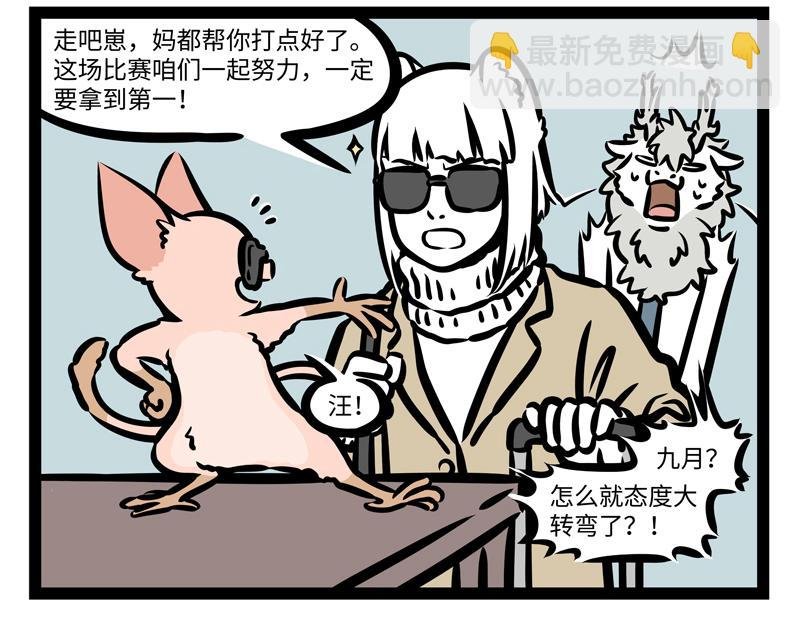 第169话 猪年新气象！