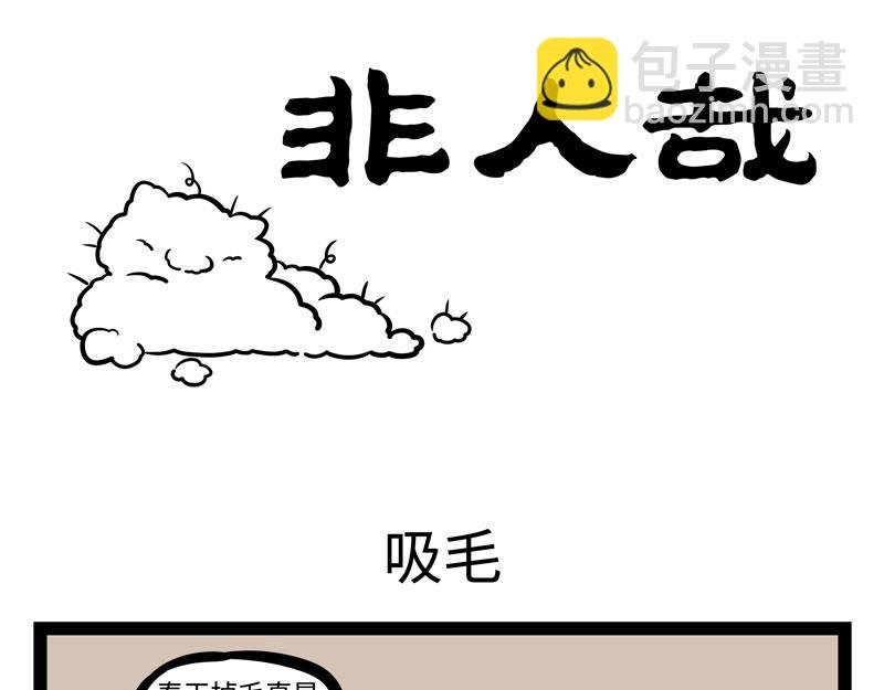 第178话 放风筝