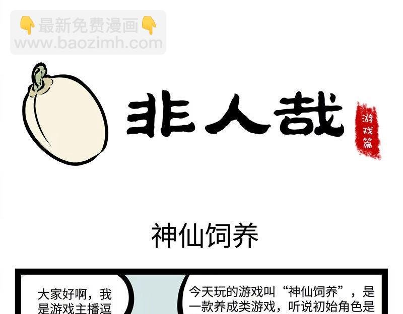 番外 神仙饲养手册