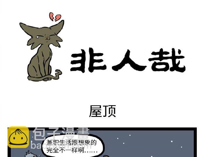 第229话 听说你是我新cp？