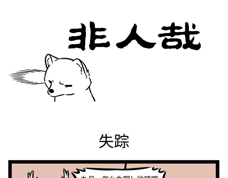 第240话 失踪