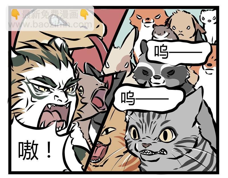 第25话 不要质疑我的审美！
