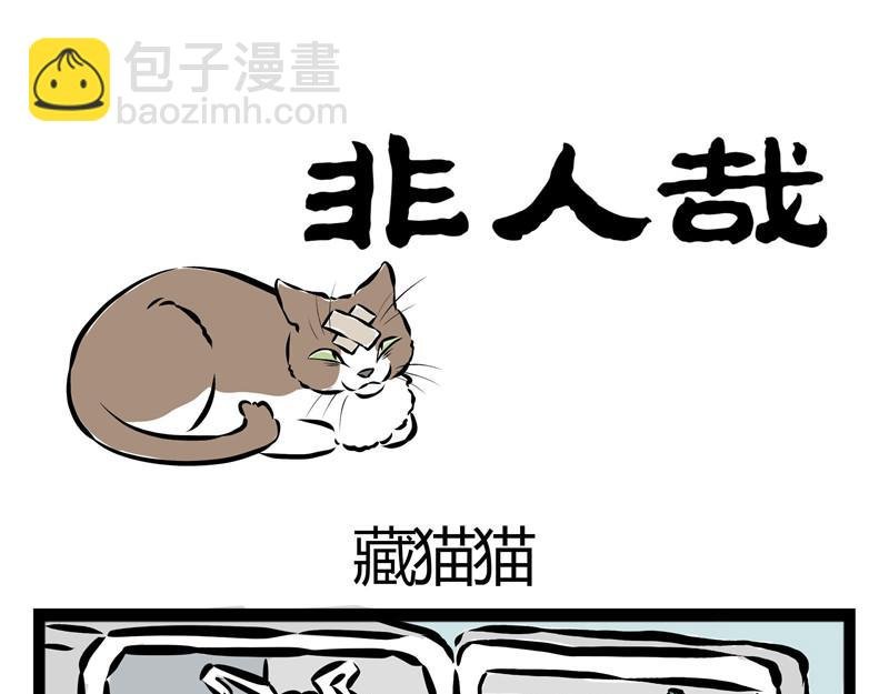 第25话 不要质疑我的审美！