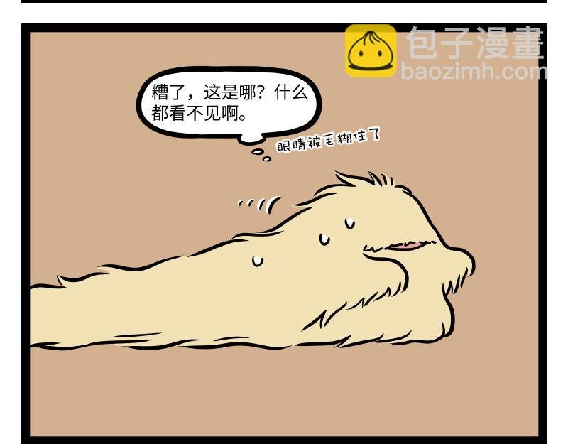 第289话 新造型