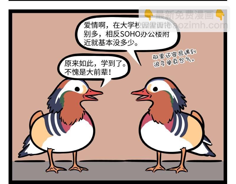 第294话 带货